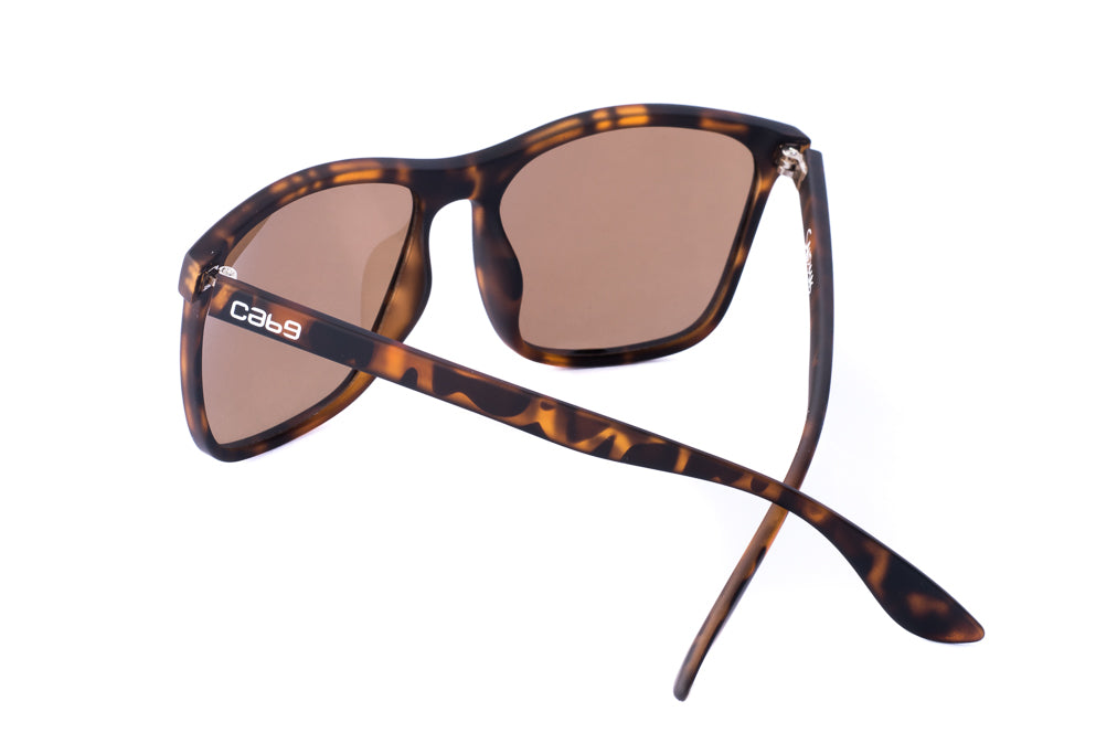 cab9_eyewear_sandimas_tortoise_back