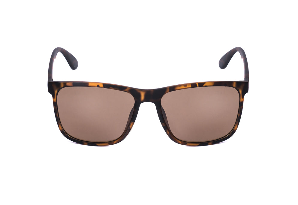cab9_eyewear_sandimas_tortoise_front